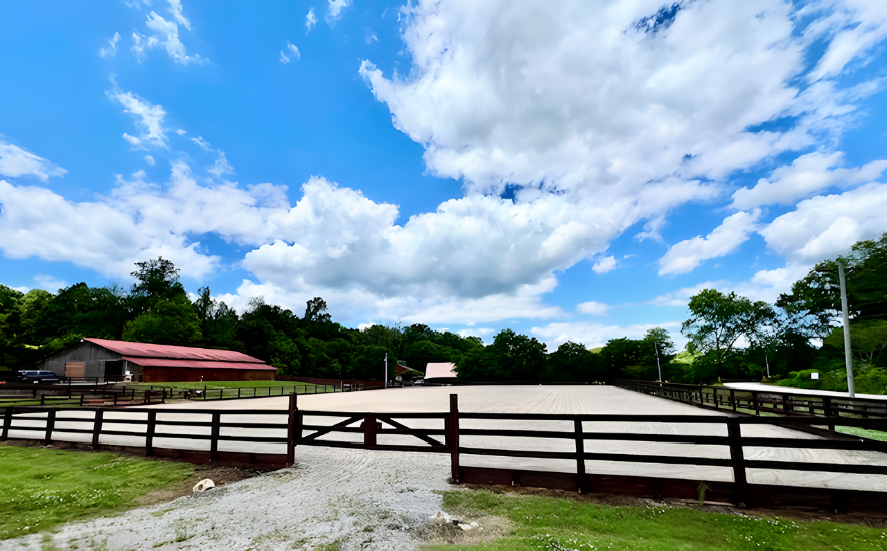 Elder Horse Care