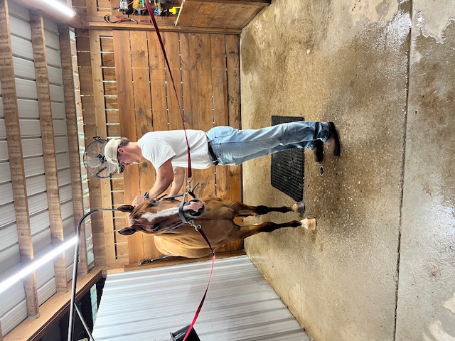 Farm View at Buttermilk Farm (IMG_2070)